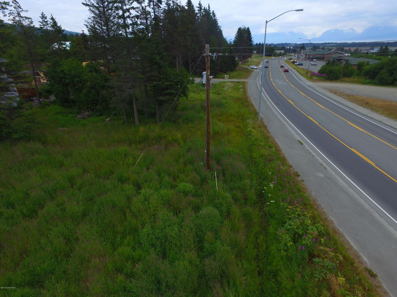 3658 Forest Glen Dr, Homer, AK 99603